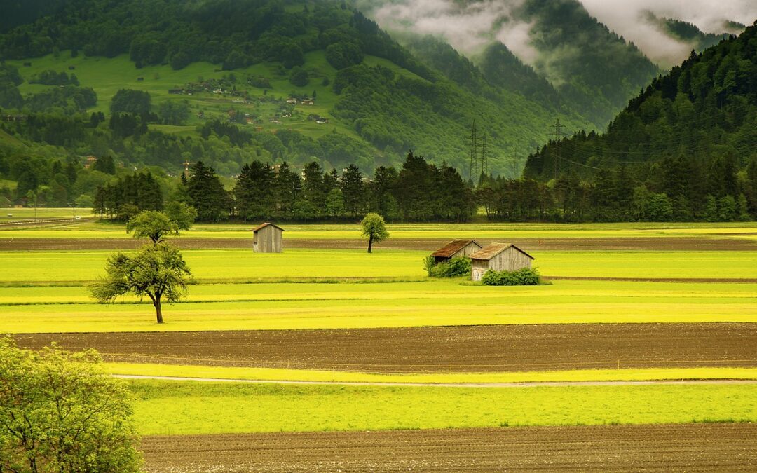 Klimabühne: Was tun gegen die Krise? Schwerpunkt Landwirtschaft