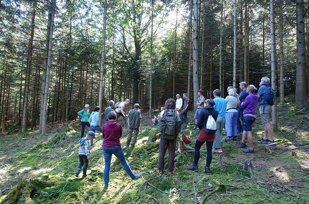 HÖR:BLICKE NATUR Von Bäumen und Bikern