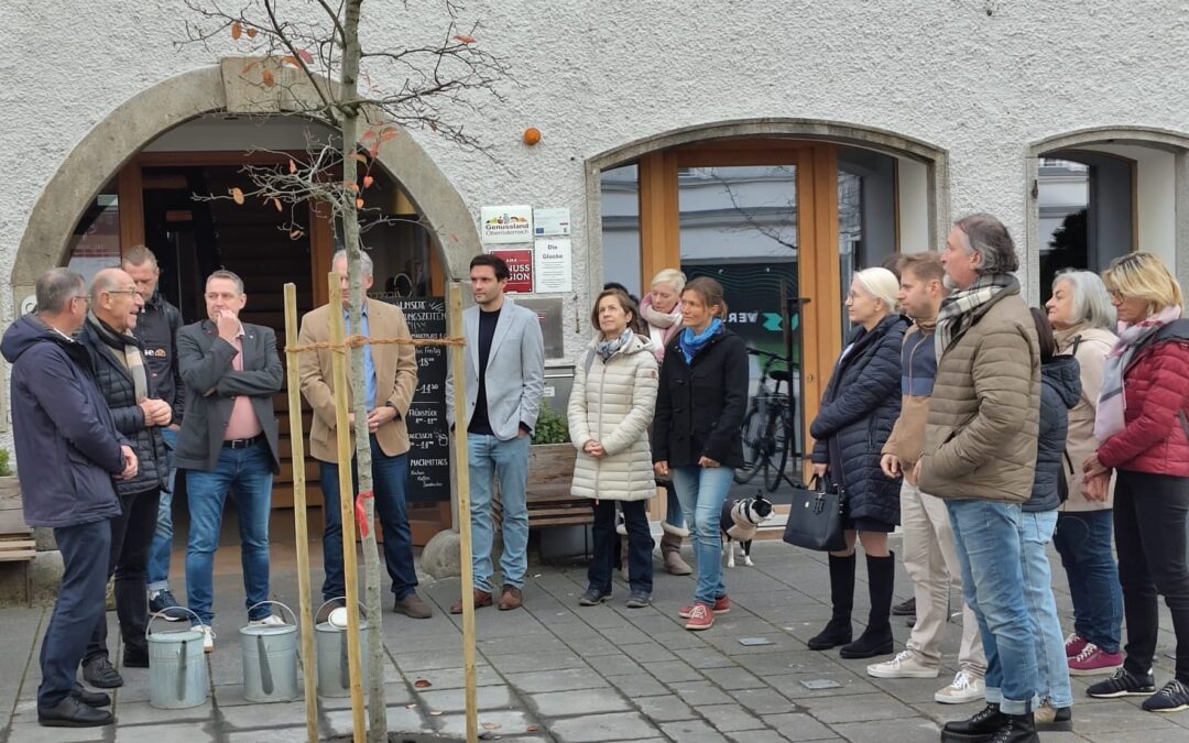 Mehr Grün braucht das Land