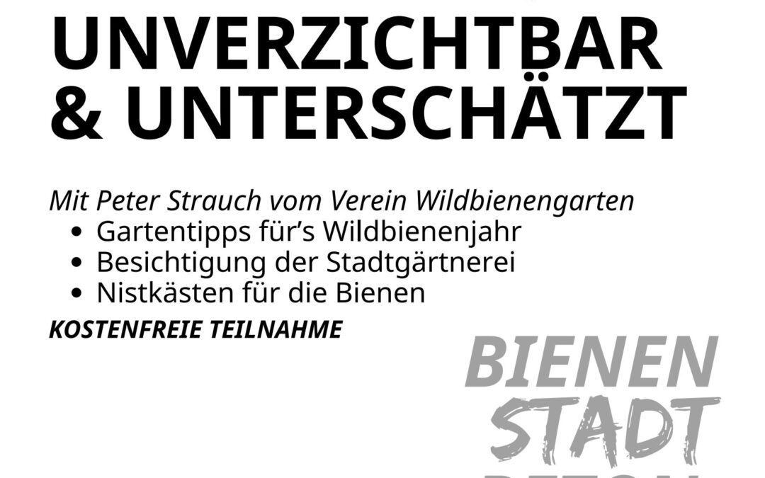Wildbienen – unverzichtbar und unterschätzt